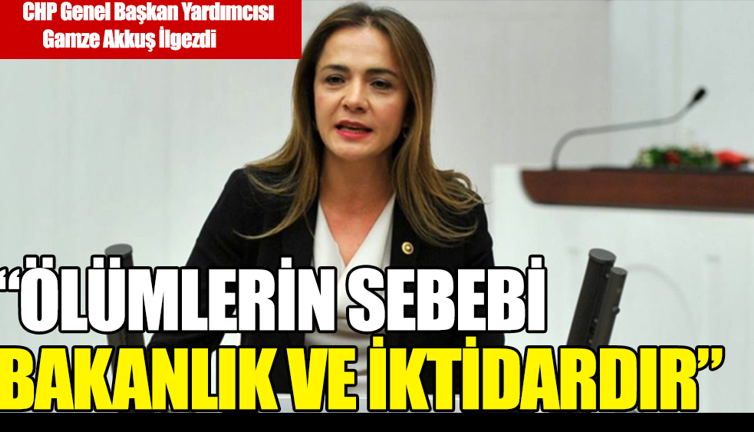 İlgezdi: Ölümlerin sebebi bakanlık ve iktidardır