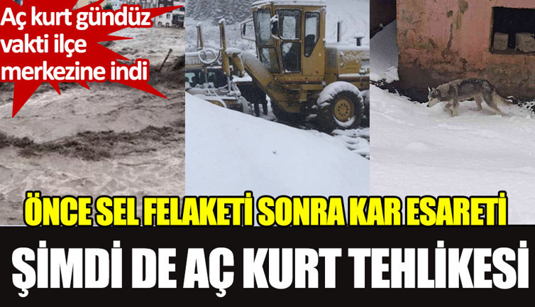 Önce sel felaketi sonra kar esareti şimdi de aç kurt tehlikesi