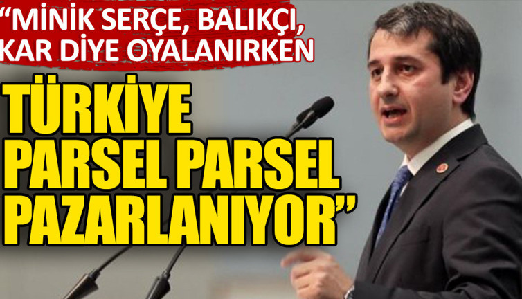 Özkan: Biz oyalanırken Türkiye parsel parsel pazarlanıyor