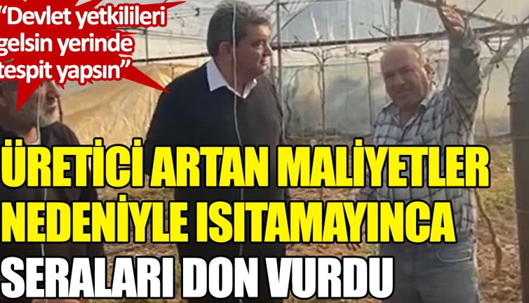 Üretici artan maliyetler nedeniyle ısıtamayınca seraları don vurdu