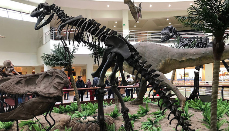 Bu müzeler bambaşka! Açılış için gün sayıyor