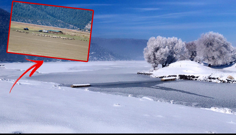 Tamamen kuruyan Avlan Gölü'nde 'su' sevinci! Tamamen kurumuş hayvanlar otluyordu…