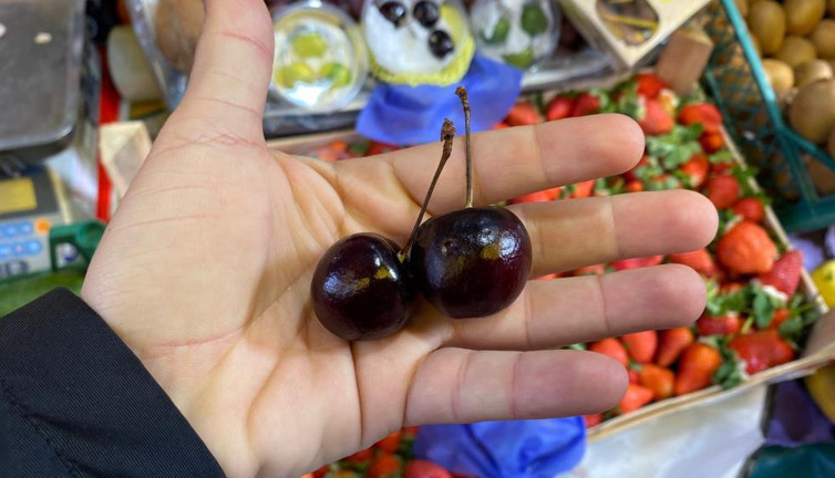 Kirazın tanesi 10 TL'ye satılıyor