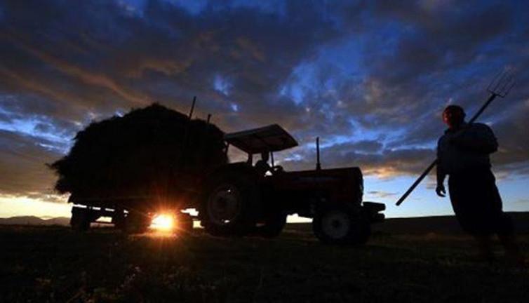 Verileri SGK açıkladı: 45 bin çiftçi tarlasına küstürüldü