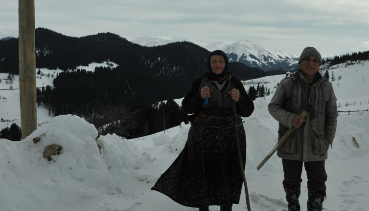 Koronavirüs ortaya çıktığından beri yayladan inmiyorlar