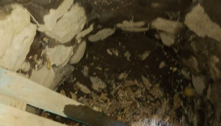 Define avcıları buldu Jandarma koruma altına aldı