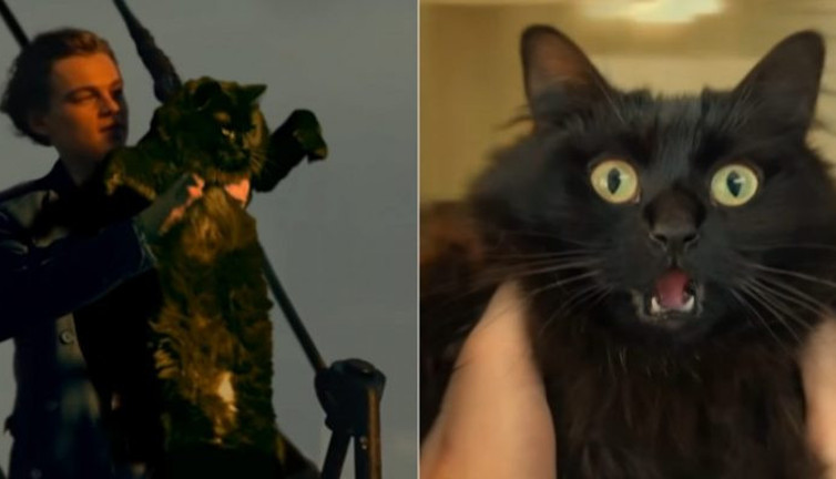 Unutulmaz film Titanik, yıllar sonra yeniden montajlandı. Üstelik başrolde ''kedi'' var