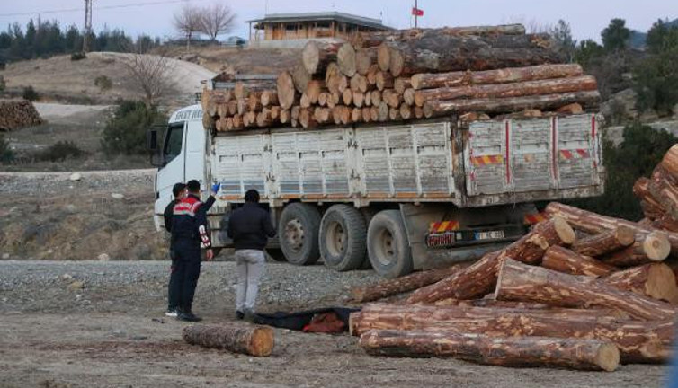 Kamyondan düşen tomruğun altında kalan işçi hayatını kaybetti