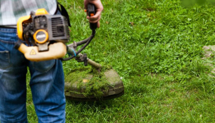 Buharkent Belediyesi personel alacak