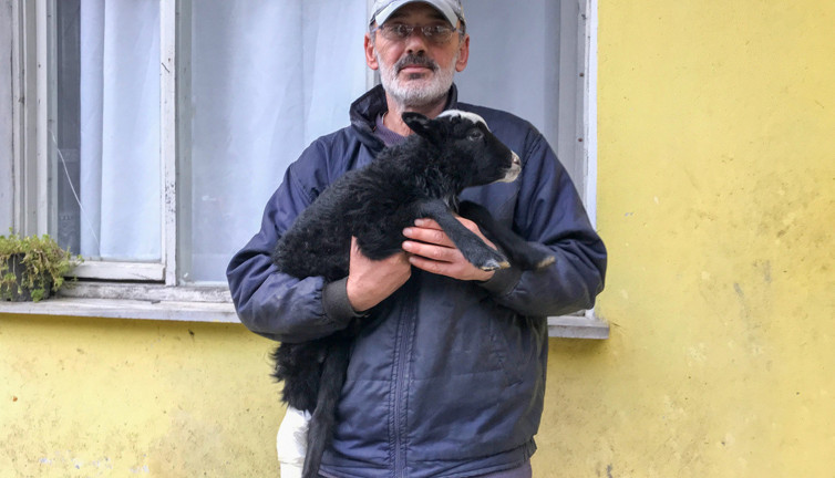 Bacağı kırılan kuzusunu Devlet Hastanesi'ne götürdü