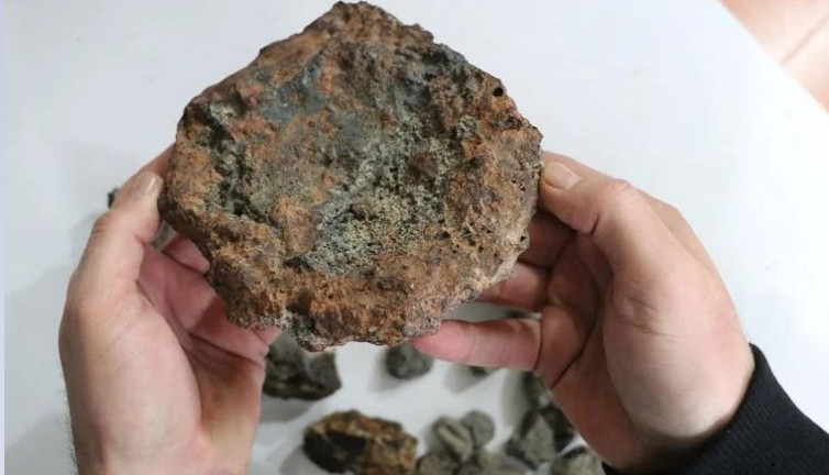 Görenler gözlerine inanamadı! Emekli iş adamı tarlada buldu! Paha biçilemiyor