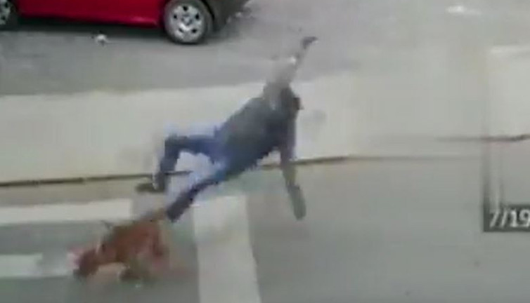 Yayaya köpek çarptı