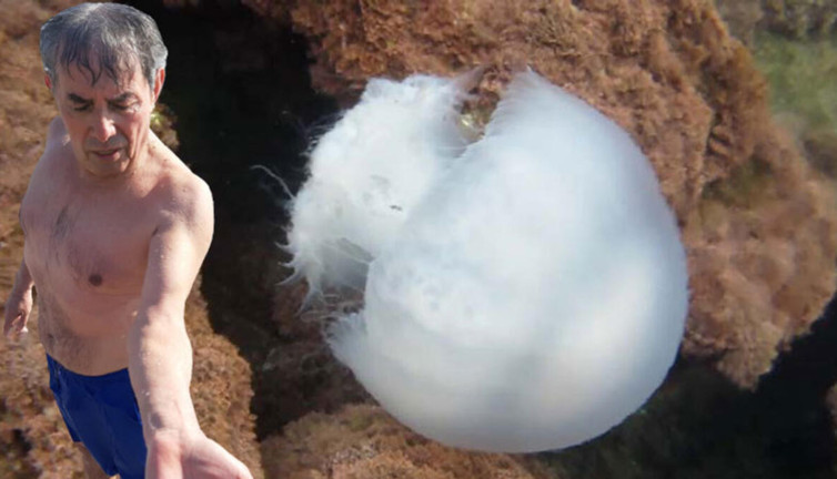 Profesörü denizanası çarptı! Meslektaşı 'Sakın bunu yapmayın’ diyerek uyardı