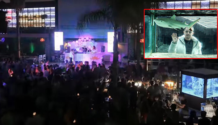 Diskotekteki köpek balığı ‘Summer’ yeni yaşam alanına nakledildi