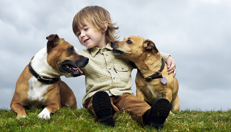 Çocuklara hayvan sevgisini aşılamak için bunları yapın