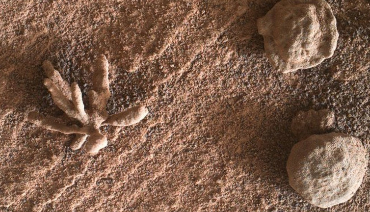 Mars yüzeyinde daha önce hiç görülmemiş çiçeğe benzer bir oluşum keşfedildi