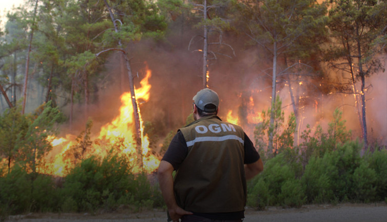 Bakan Bekir Pakdemirli duyurdu '5 bin kişi işe alacağız'