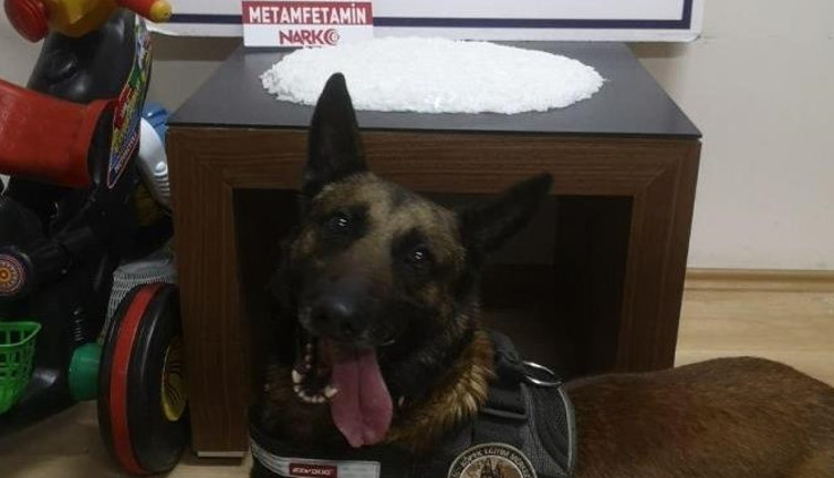 Uyuşturucu zulası polisi şok etti