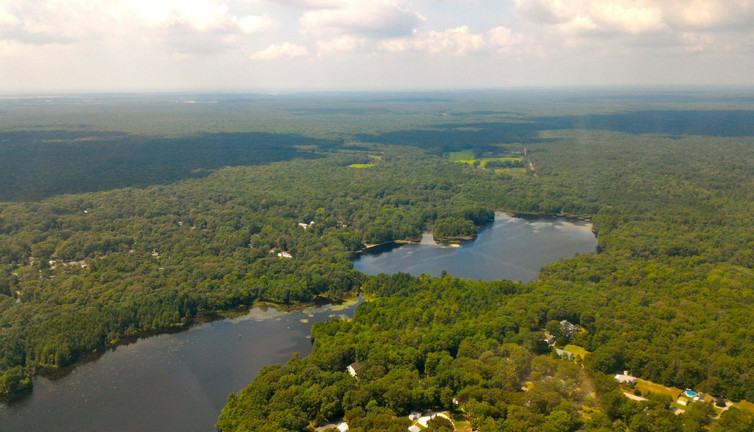 Zeytinliklerin ardından bir alan daha ranta açılıyor