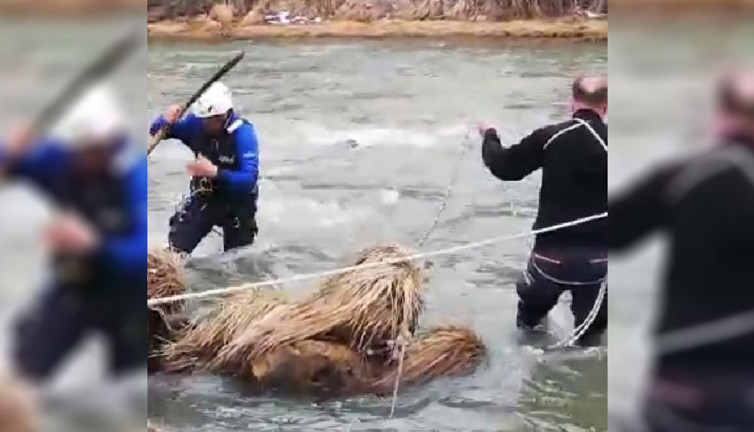 Çaya düşen ördeğin peşinden giden avcı boğuldu