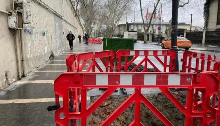 Beşiktaş'ta 112 ağaç "kanser" gerekçesiyle kesildi