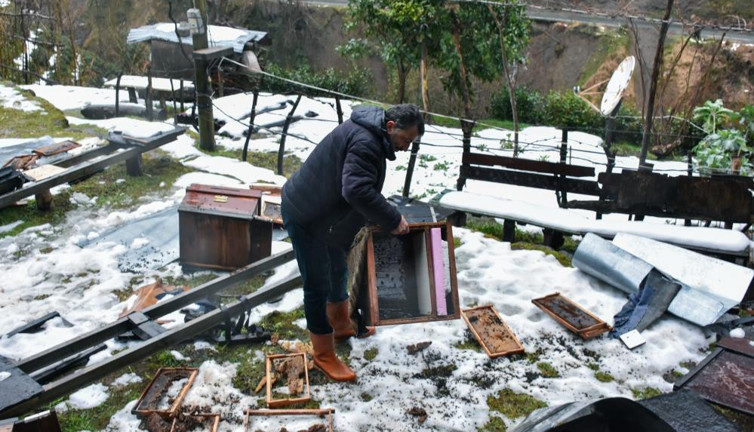 42 kovanı parçalayan ayılar balları hapur hupur yedi