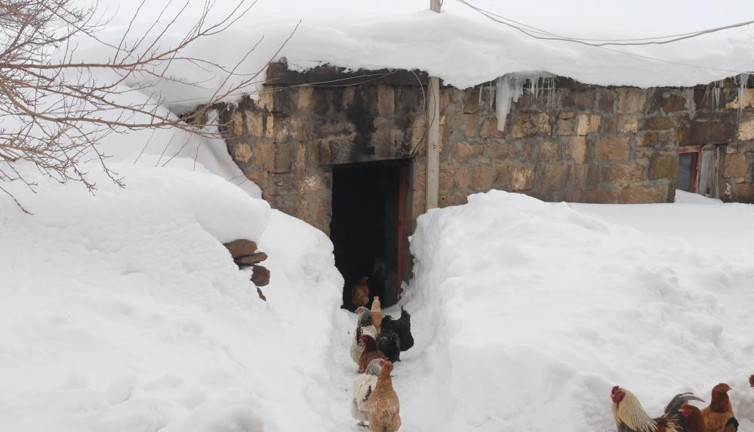 Kar bastırdı köy yolları kapandı