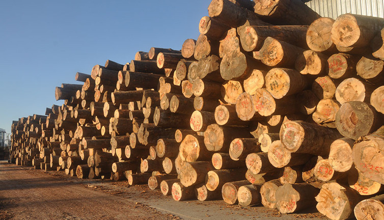 Sarıyer Belediyesi kereste ürünleri satın alacak