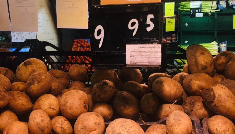 İşte patates hazretlerinin son durumu. "Altın gibi kızarırdı, ısırınca çıtırdardı" diye hasretle anılacak
