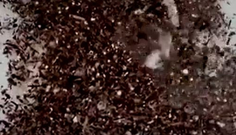 Bilim insanları korkarak açıkladı İnsan kanında ilk kez bulundu