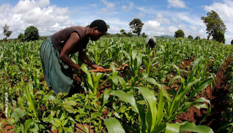 Aytun Çıray açıkladı: 'Sudan' tarım projesine her imkan sağlanmış