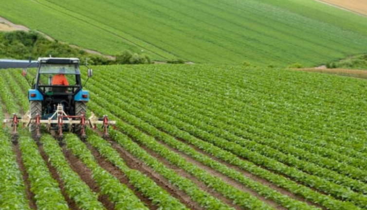 AKP eski milletvekili tarladaki hazin durumu açıkladı