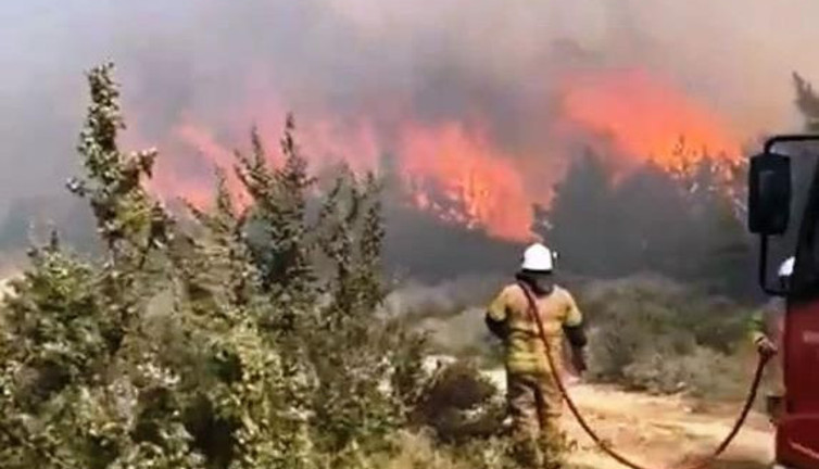 Havalar ısındı orman yangın sezonu açıldı