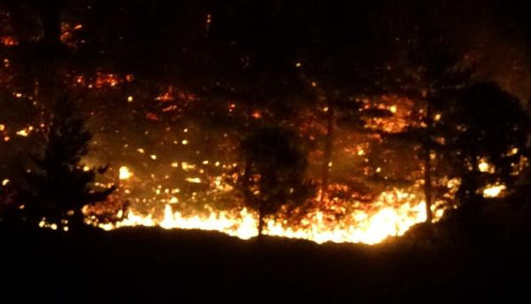 Çanakkale ormanları kül oldu