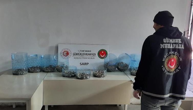 Torbayı açan gümrük muhafaza ekipleri donup kaldı