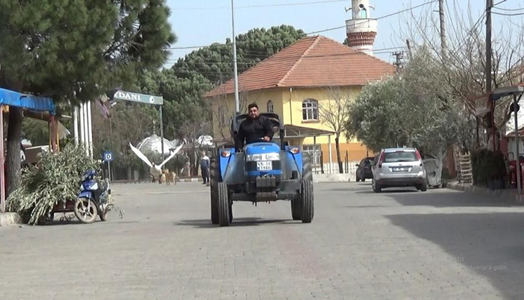 Yetişemeyince uçarak takip ediyor