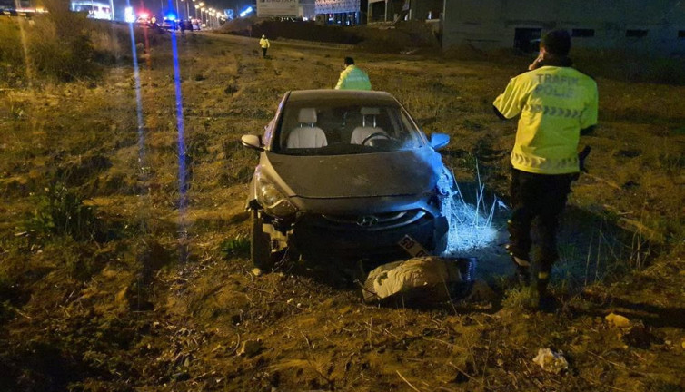 Köpeğe çarptı şarampole uçtu