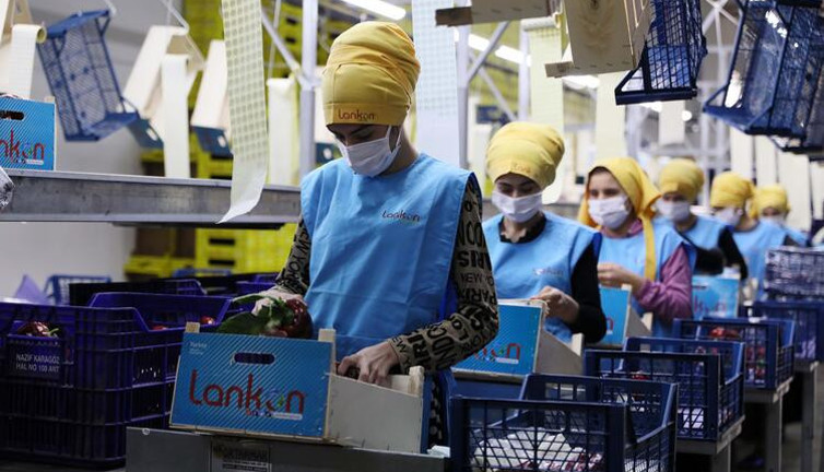 Antalyalı ihracatçının 80 milyon dolarlık tahsilatı savaşa takıldı