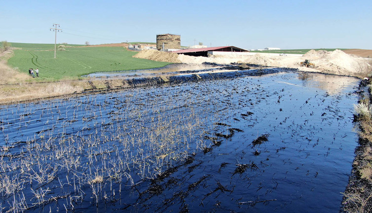 Edirne'deki çevre katliamında şantiyenin faaliyetleri durduruldu! Tarlaları ve dereyi zifte boğmuştu…