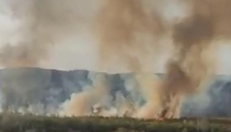 Ermenistan'da orman yakıldı alevler Türkiye sınırına dayandı