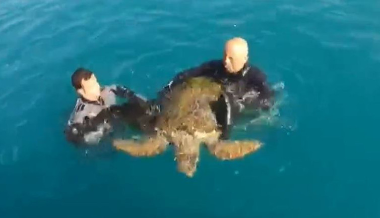 Sahil Güvenlik’ten caretta caretta kurtarma operasyonu