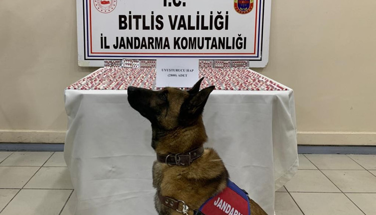 Yolcu otobüsündeki uyuşturucuyu narkotik köpeği 'Yakar' buldu