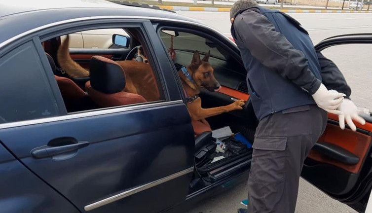 Zulayı jandarma köpeği patlattı