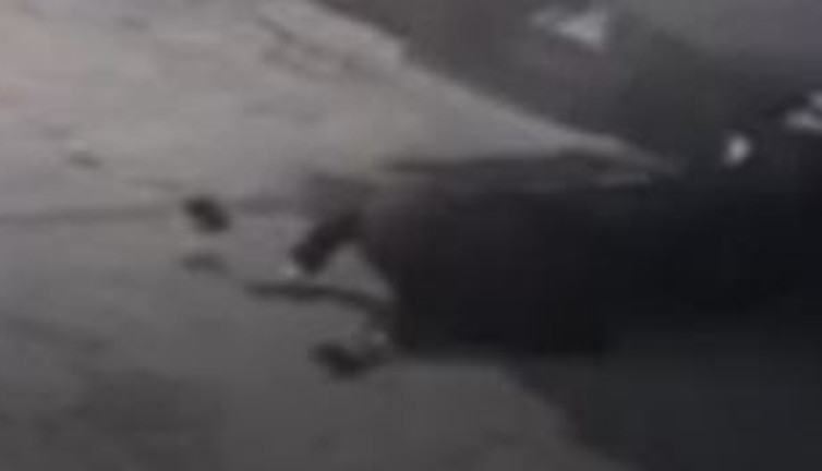 Geri giden kamyon şoförü vatandaşı altına alıp ezdi