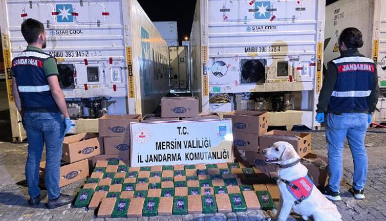 Muz kolilerinden 258 kilo kokain çıktı