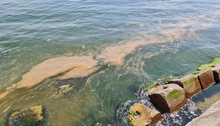 Tekirdağ'da deniz turuncuya büründü