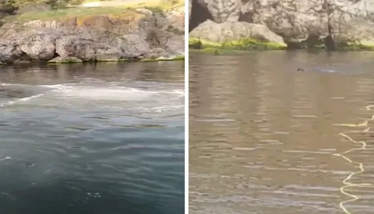 Heybeliada'da denize lağım suyu karıştı