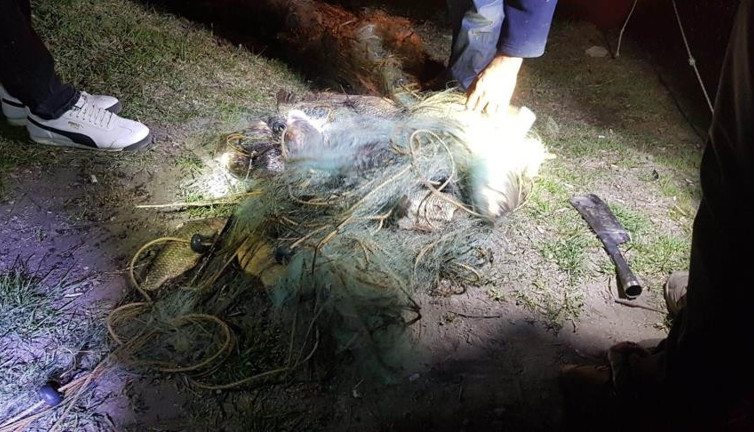 Barajdaki ölüm ağlarına operasyon