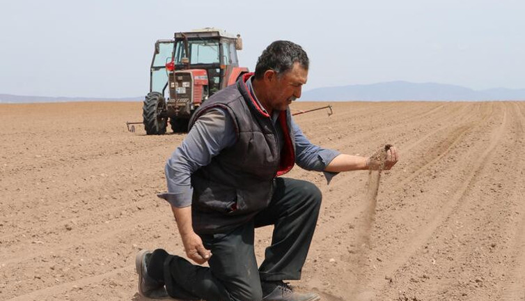 Türkiye'nin 2. büyük tahıl ambarında tehlike çanları çalıyor