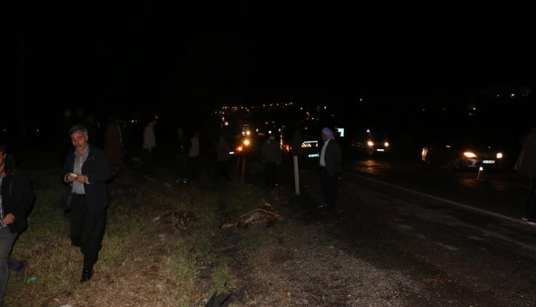 Koyun sürüsüne tanker daldı. Sonuç korkunç